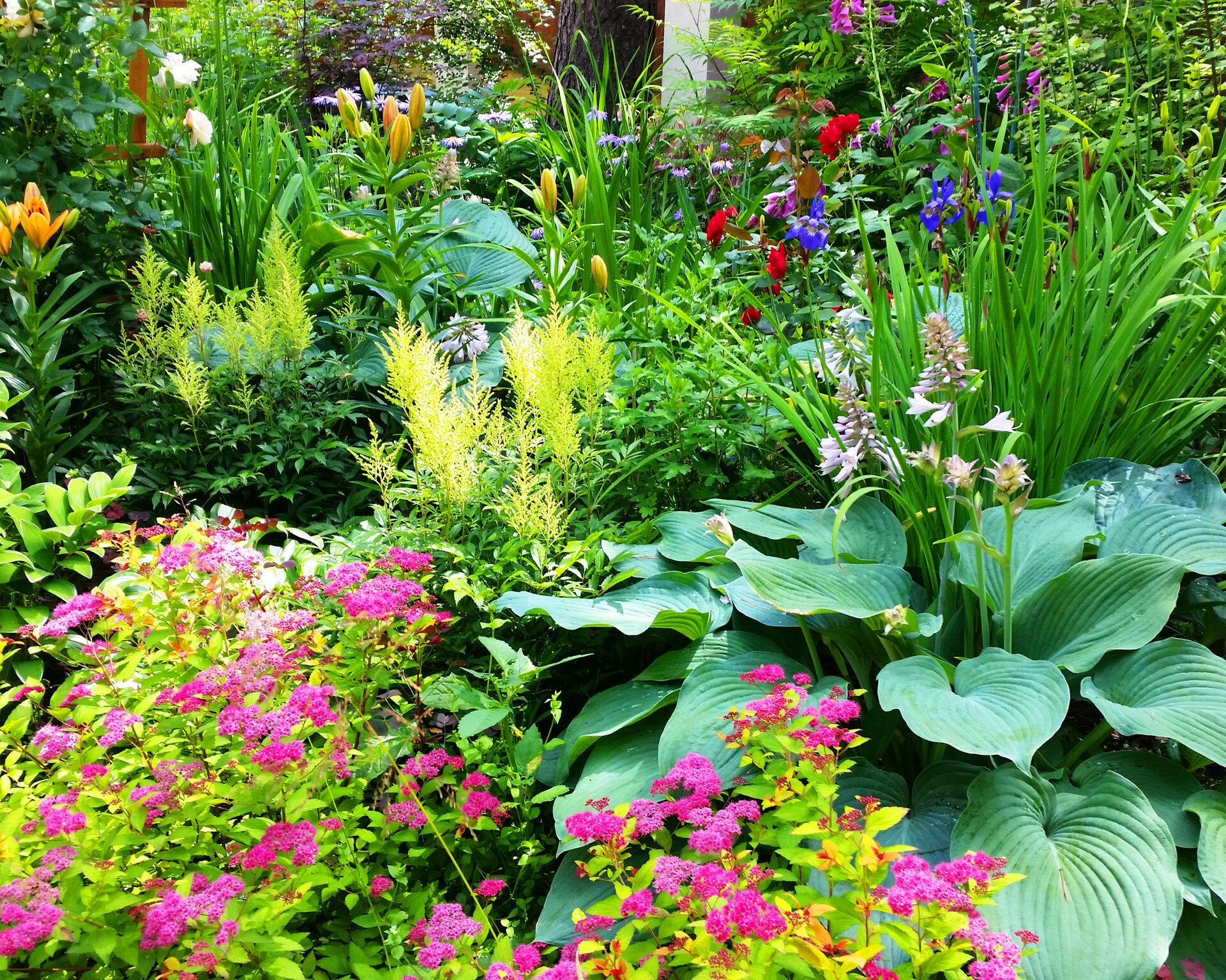 Проект Слава 1